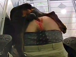 Perro follando con hombre