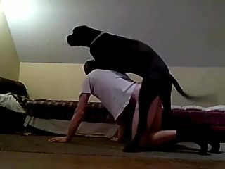 Gay sex with dog at home