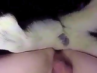 Follando con un perro