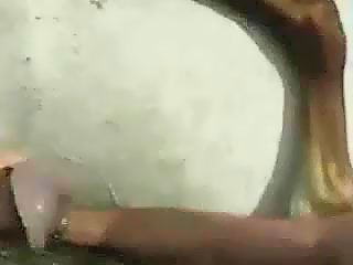 Caballo gay zoofilia