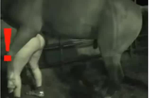 630px x 416px - VID 270 Big Horse and Gay