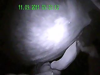 Hombre chupando coballo pene