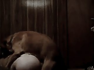 Amateur gay animal sex