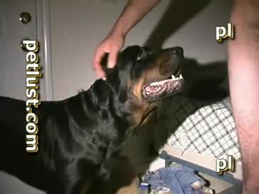 Porn Sax Video Dog Punabi - Gay and dog