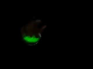 Porno hombre con perro
