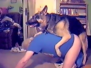 Gay fucked by dog